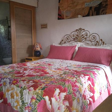 Bed and Breakfast Poggio Del Sole à Bassano del Grappa Extérieur photo